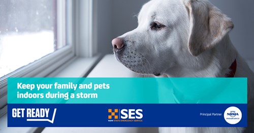 Keep your family and pets indoors during a storm