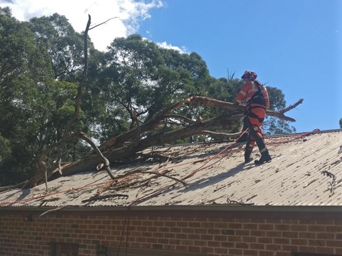 NSW SES Volunteer on roof