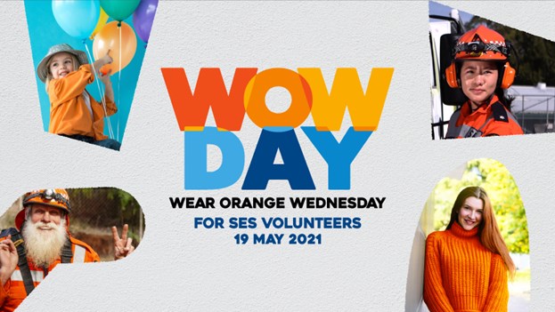 WOW Day Graphic