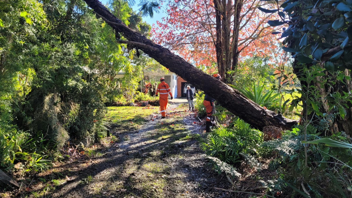 Volunteers helping with fallen tree Taree 26 May 2025