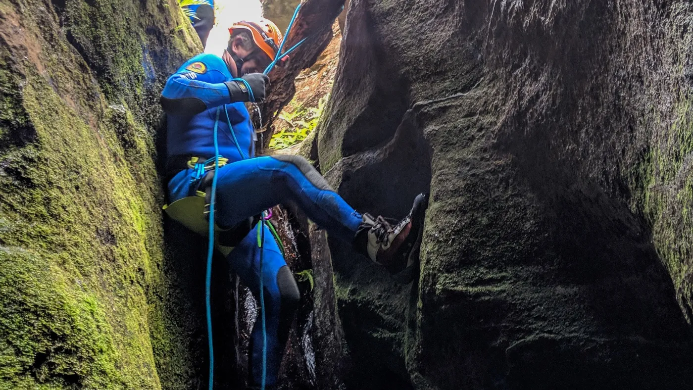 Vertical rescue operator