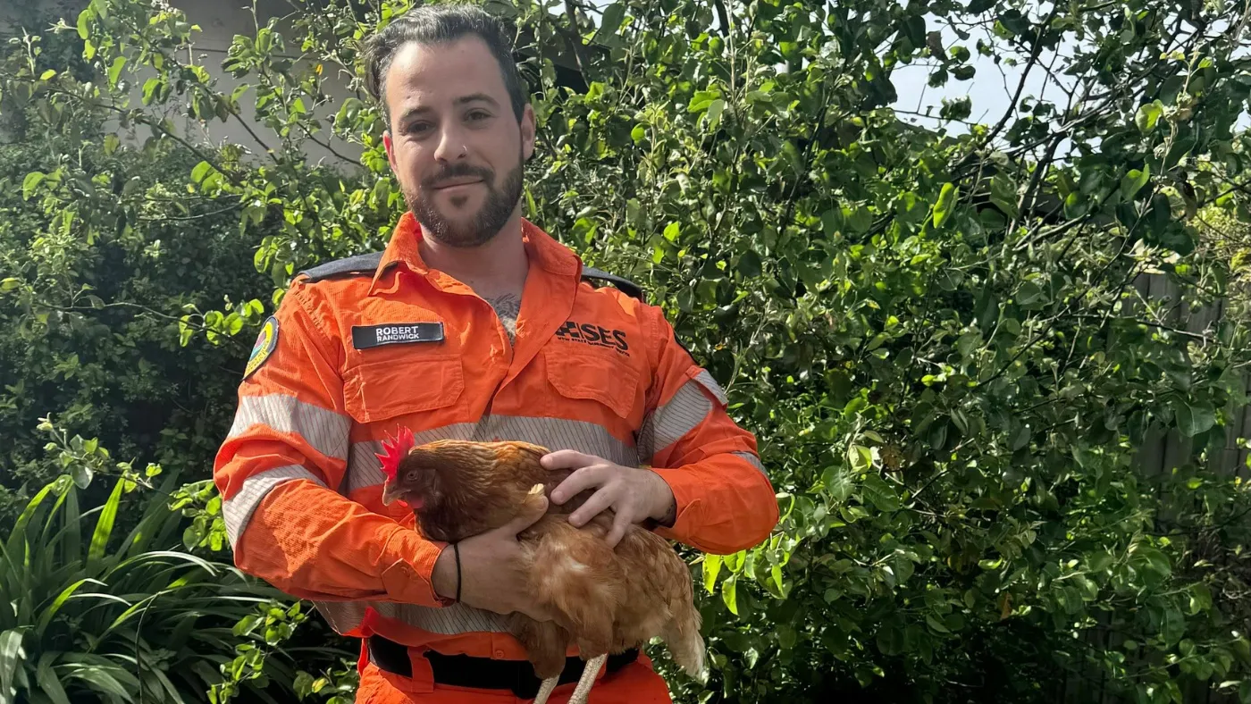 NSW SES volunteer holding a animal - roaster