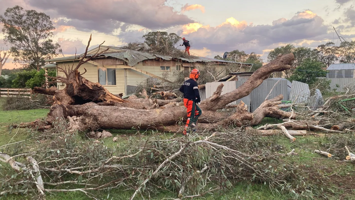 NSW SES volunteers cleaning up fallen trees after a storm