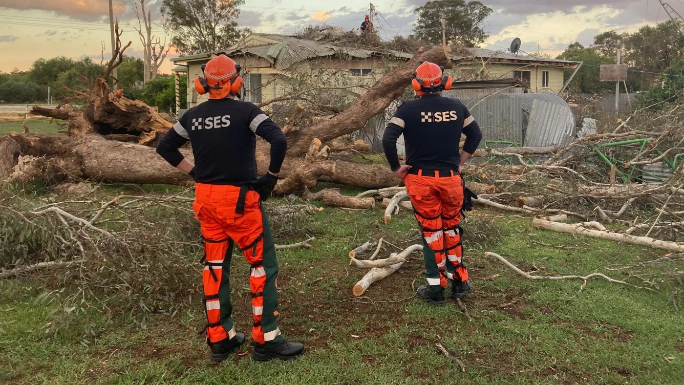 NSW SES volunteers cleaning up fallen trees after a storm