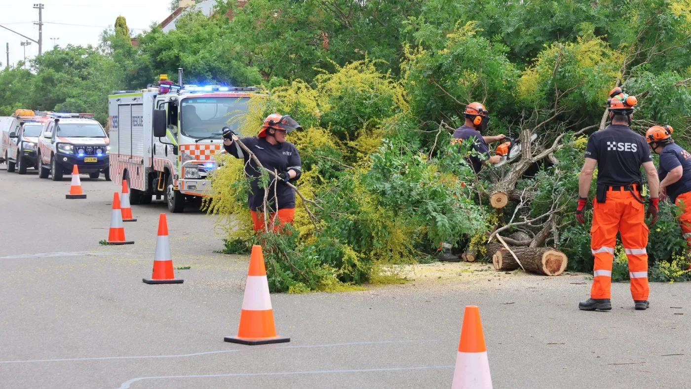 NSW SES volunteers cleaning up fallen trees after a storm