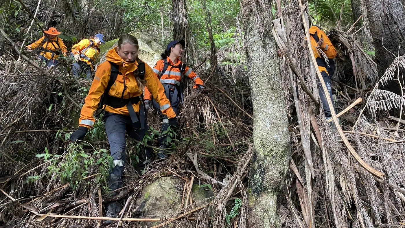 A group of Bush serach and rescure volunteers walking in the bush