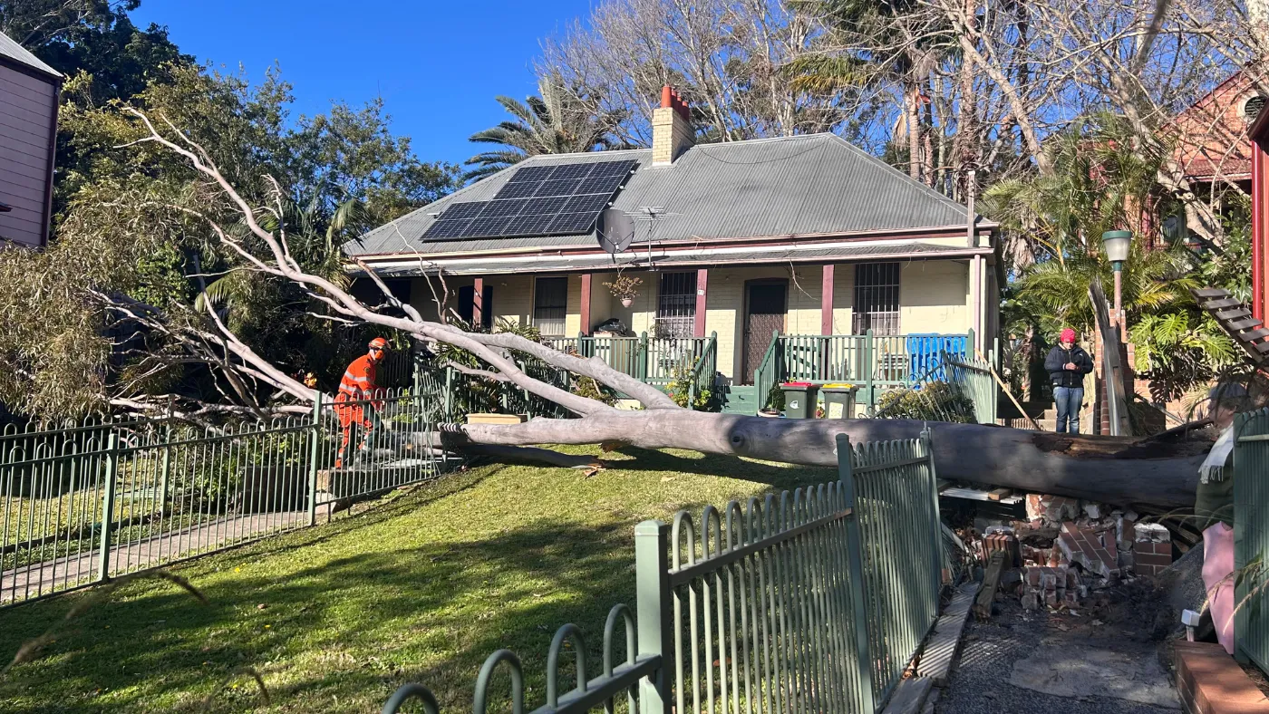SES crews attending a tree job, with large tree down in the front yard