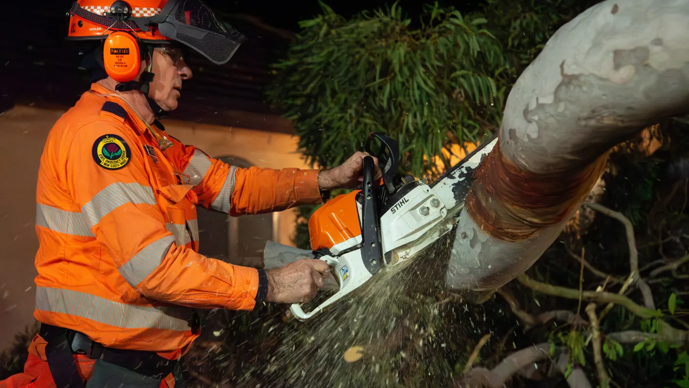 SW SES crews respond to fallen tree at Caringbah South overnight (Tuesday 29 July).