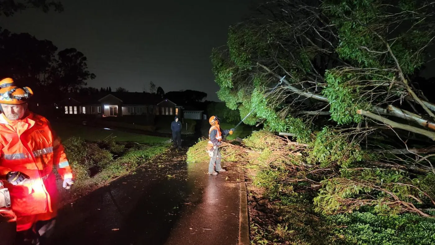 Fairfield Unit attending tree down over night 1 July 2025