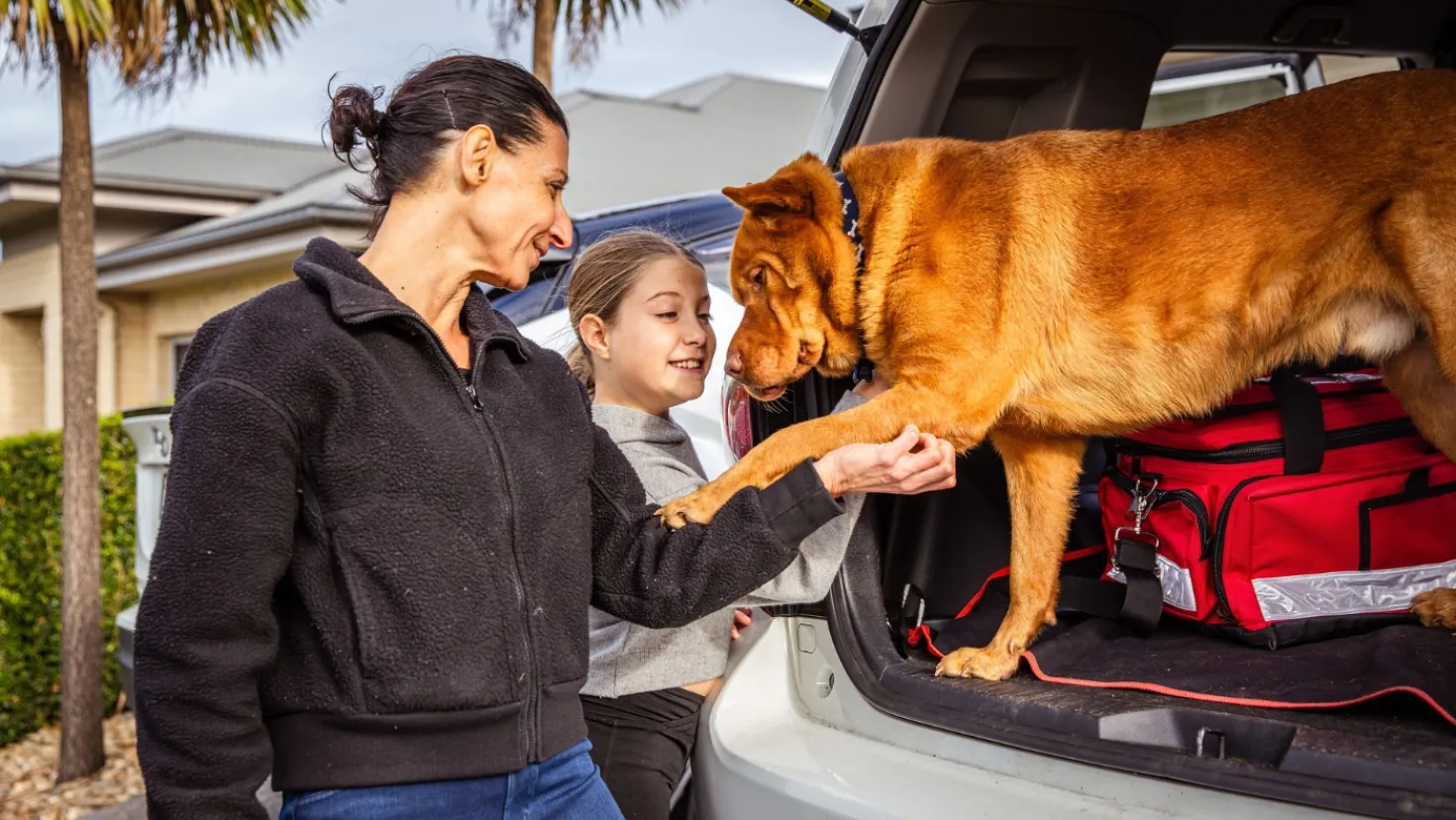 Woman and her daughter looking at their dog sitting in the car boot next to an emergency kit.