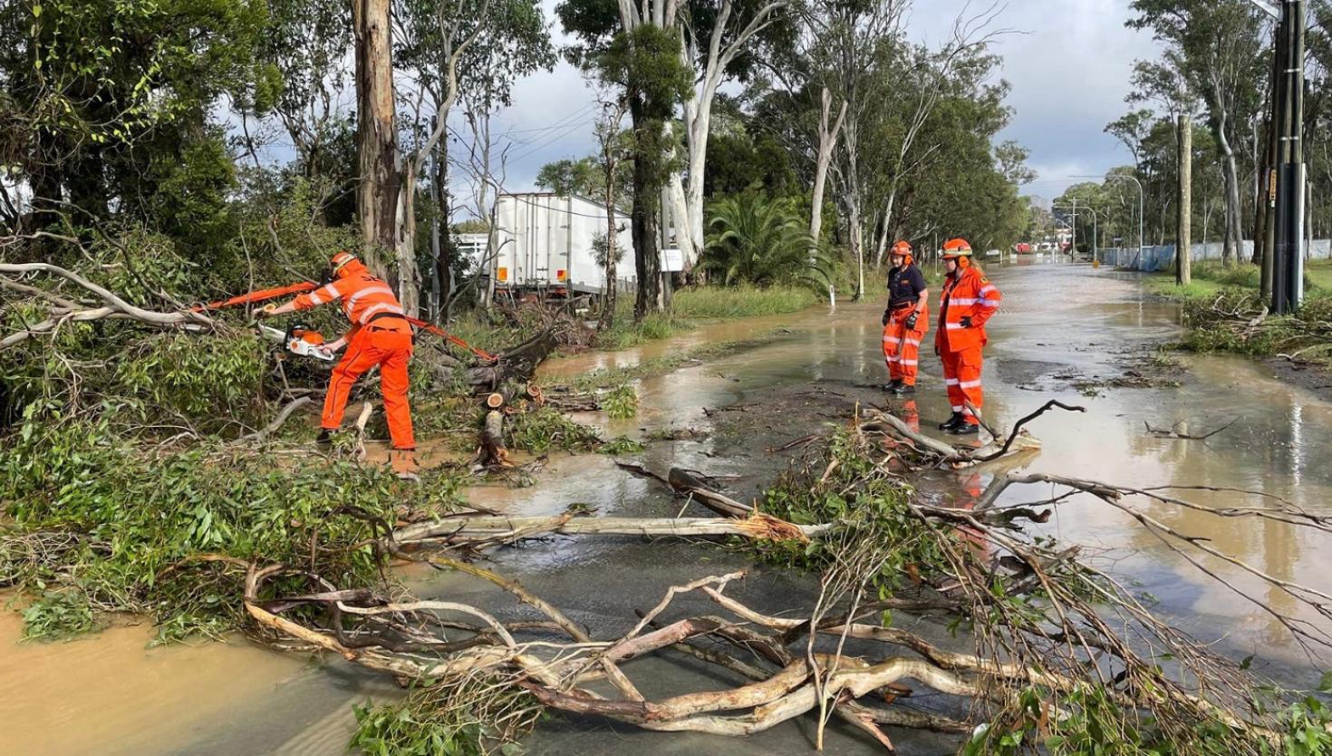 NSW SES volunteers clearing fallen trees in a flooded area