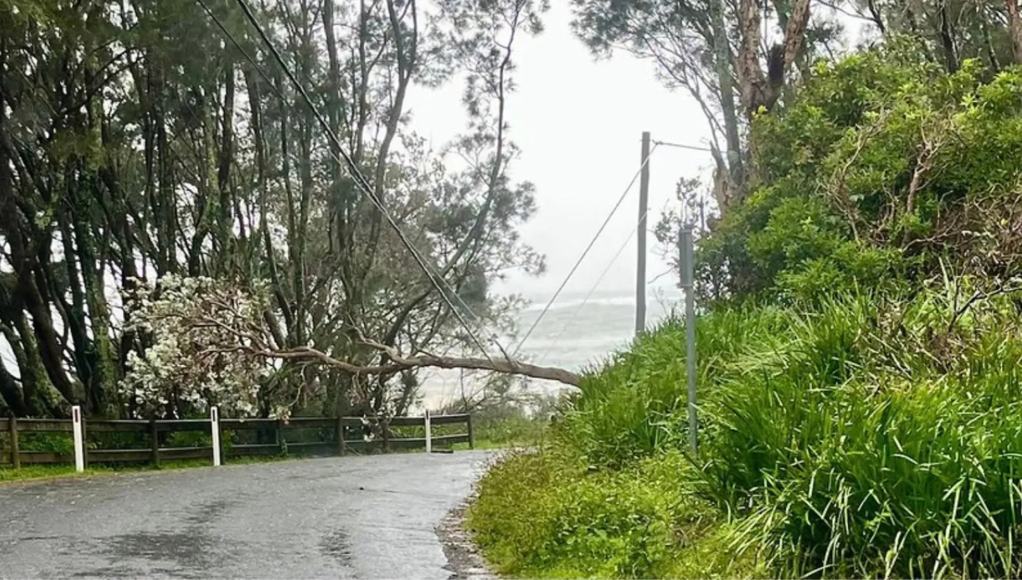 Damaged powerlines after a storm