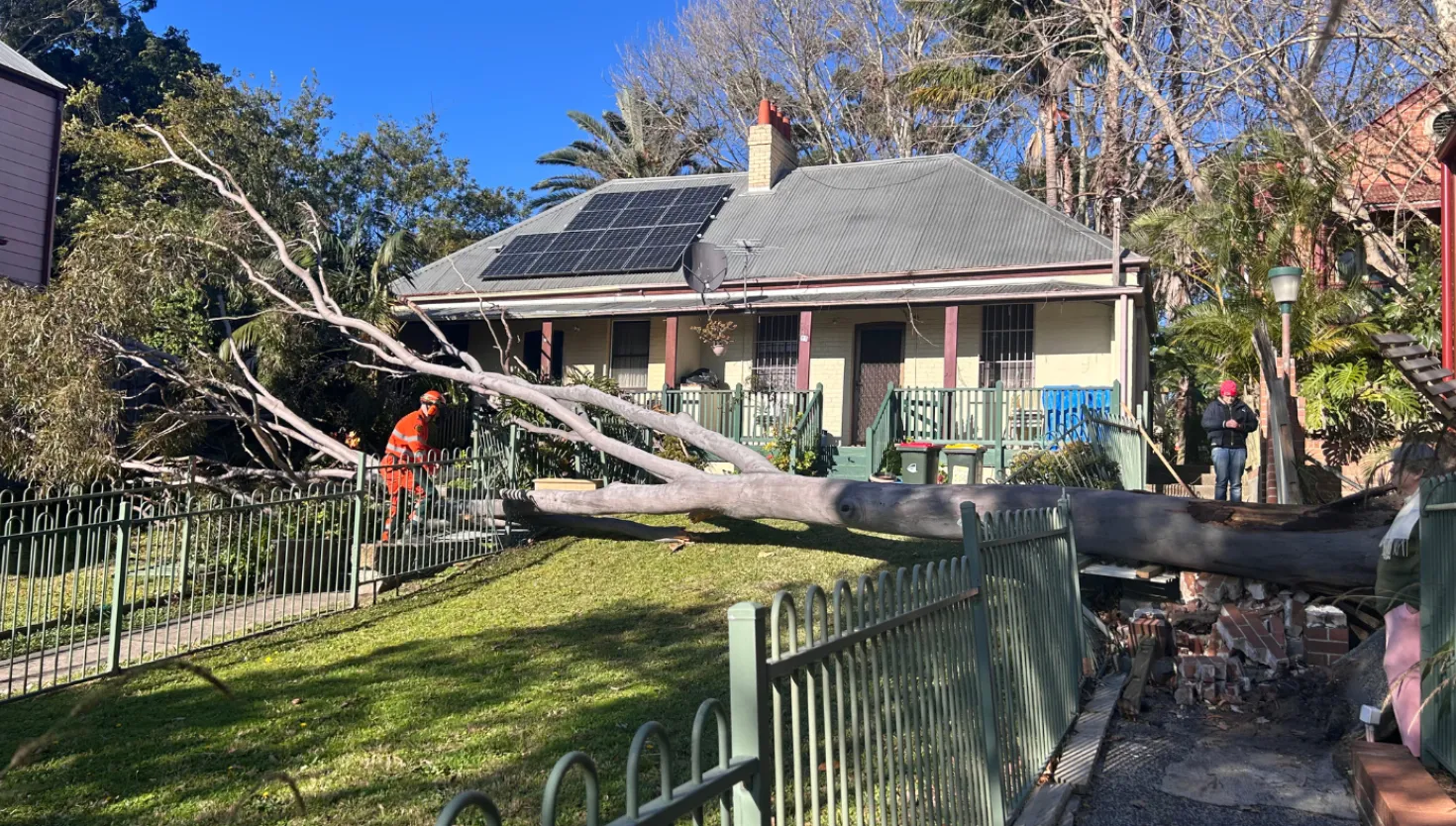SES crews attending a tree job, with large tree down in the front yard