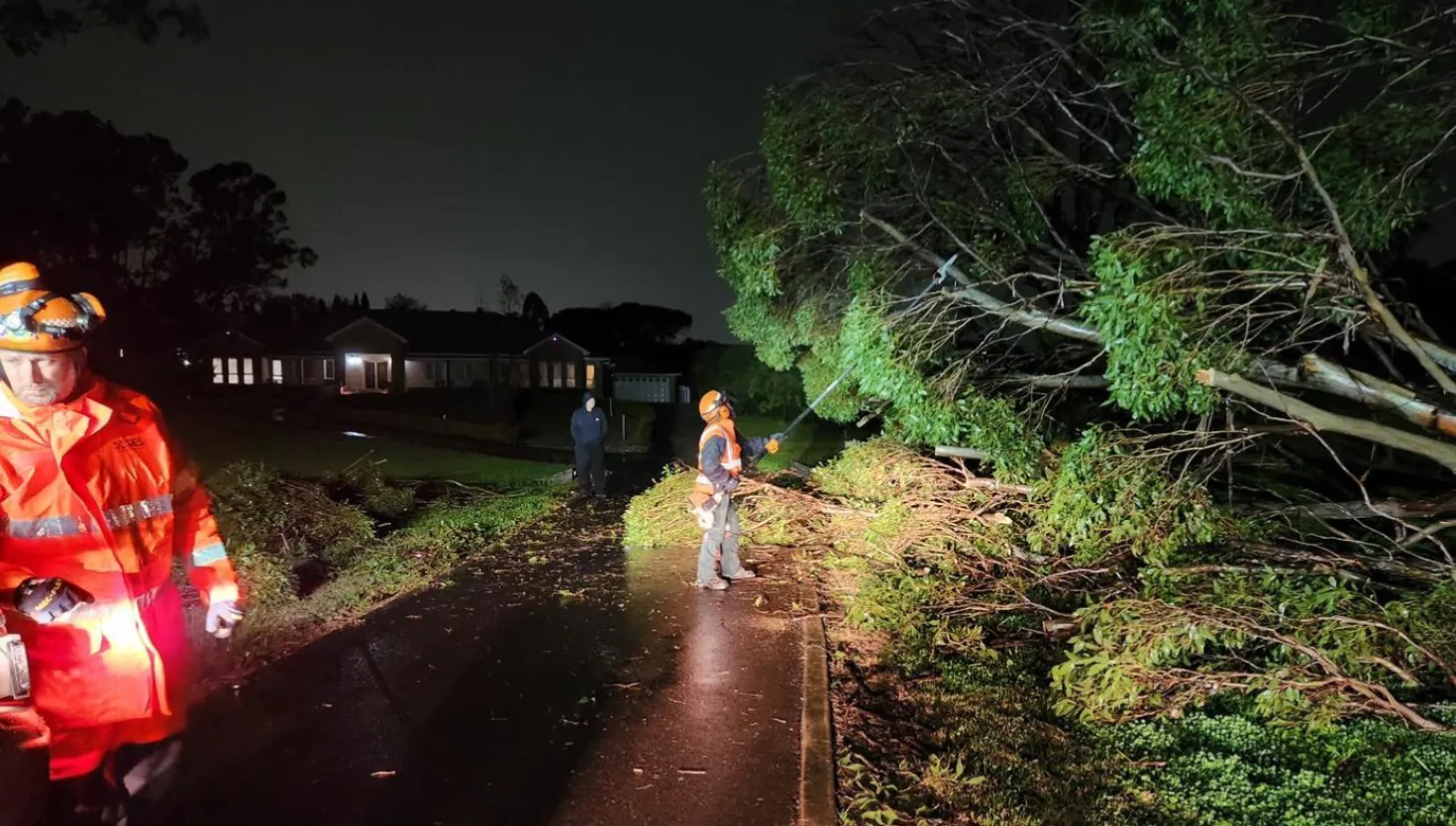 Fairfield Unit attending tree down over night 1 July 2025