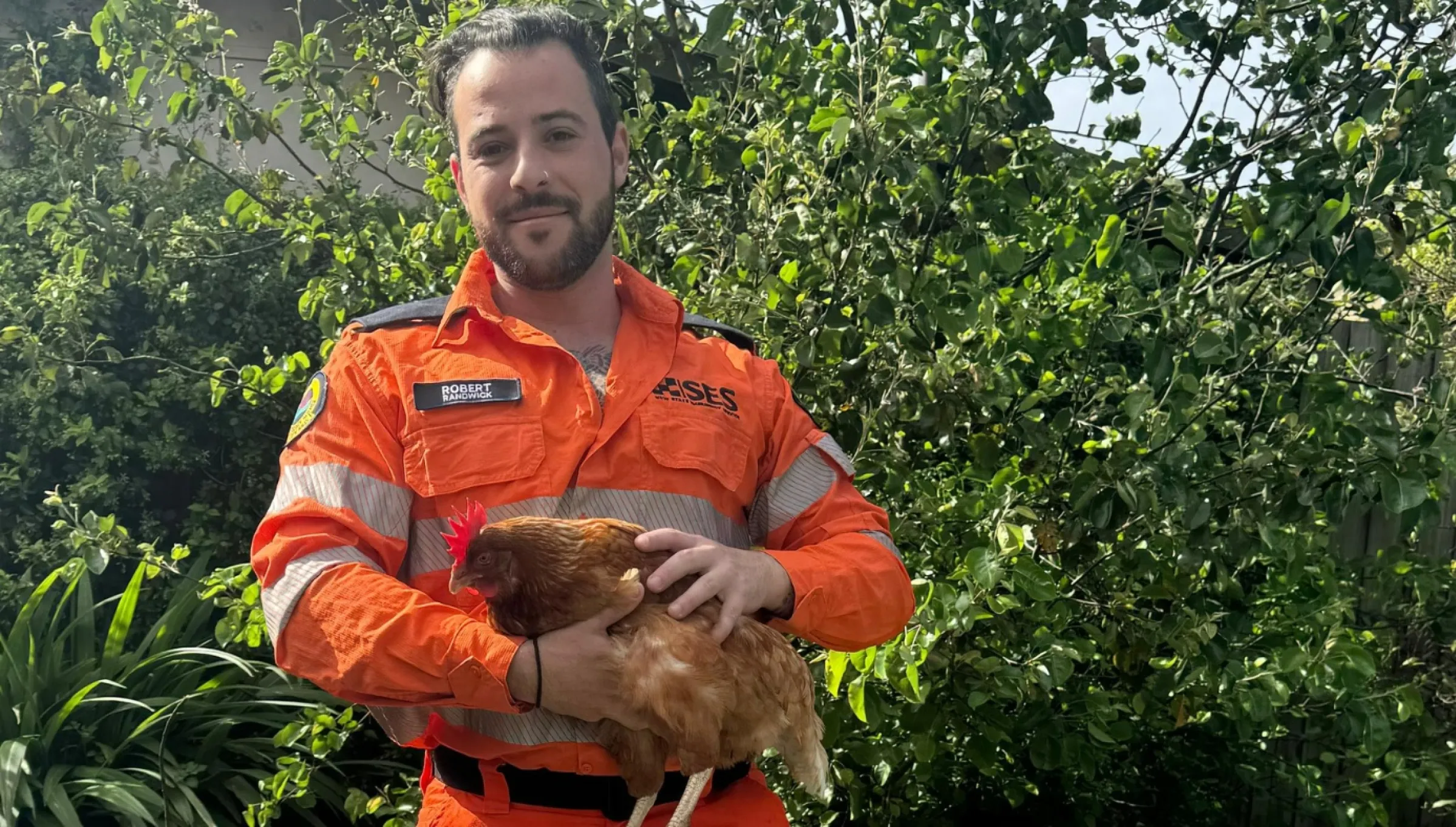 NSW SES volunteer holding a animal - roaster