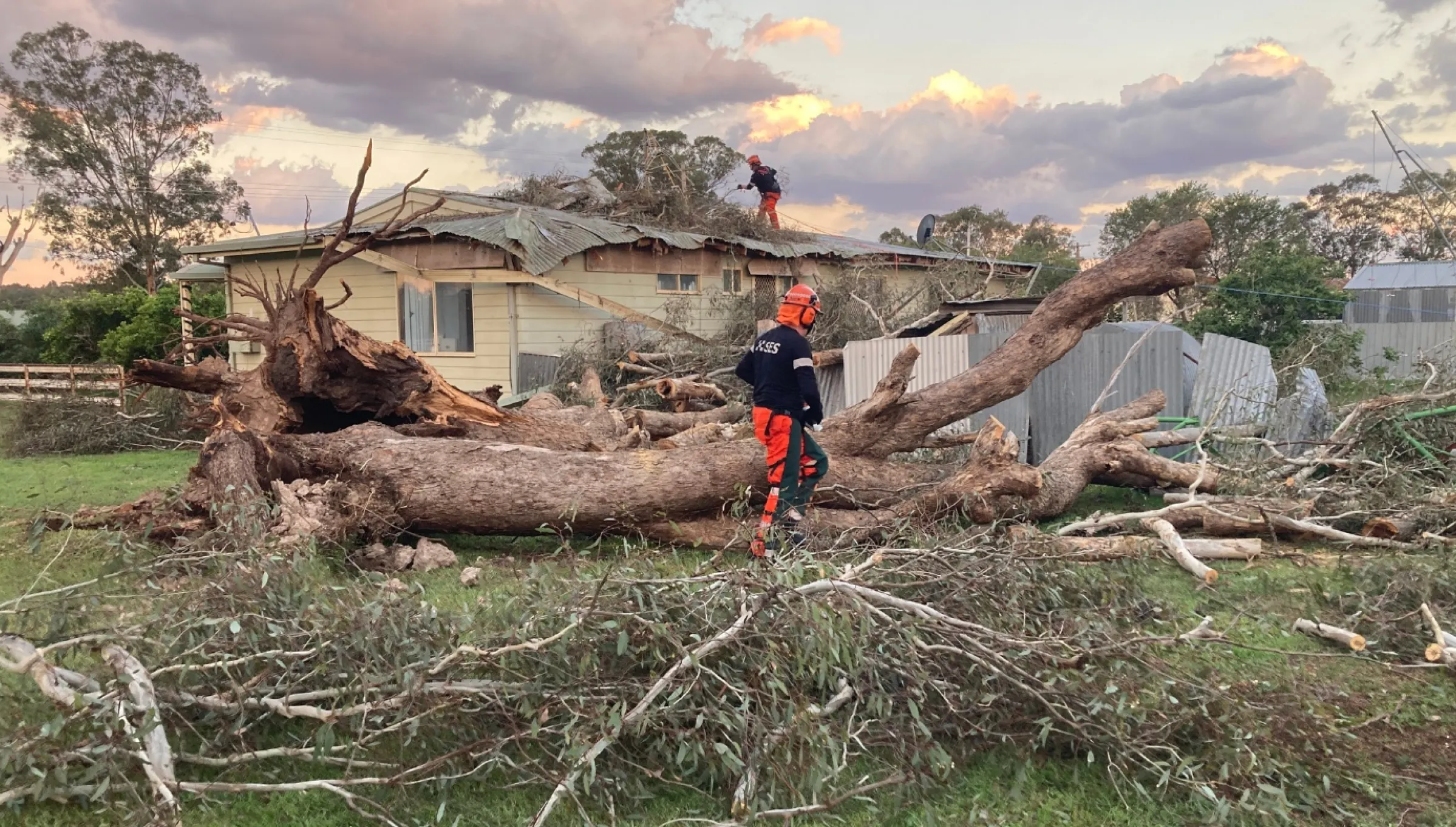 NSW SES volunteers cleaning up fallen trees after a storm