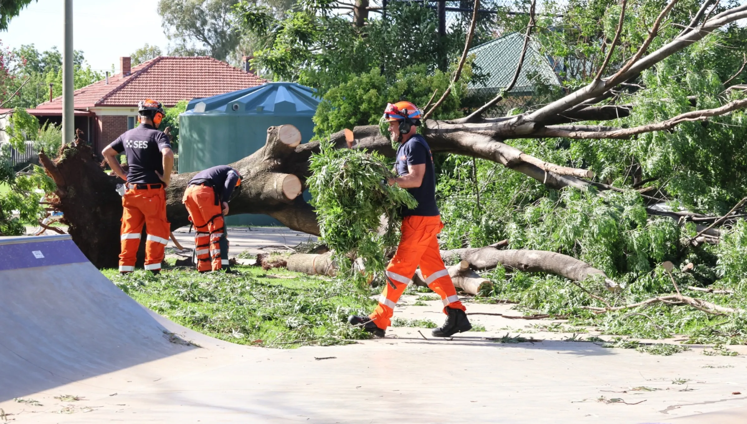 NSW SES volunteers cleaning up fallen trees after a storm