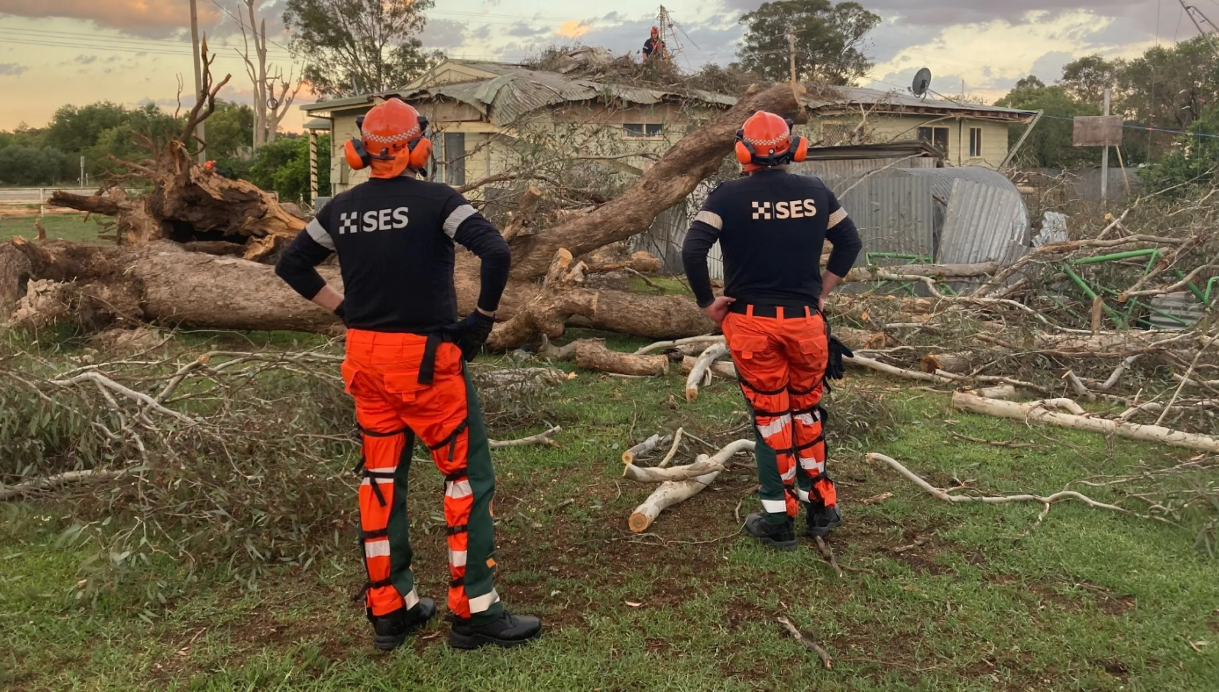 NSW SES volunteers cleaning up fallen trees after a storm