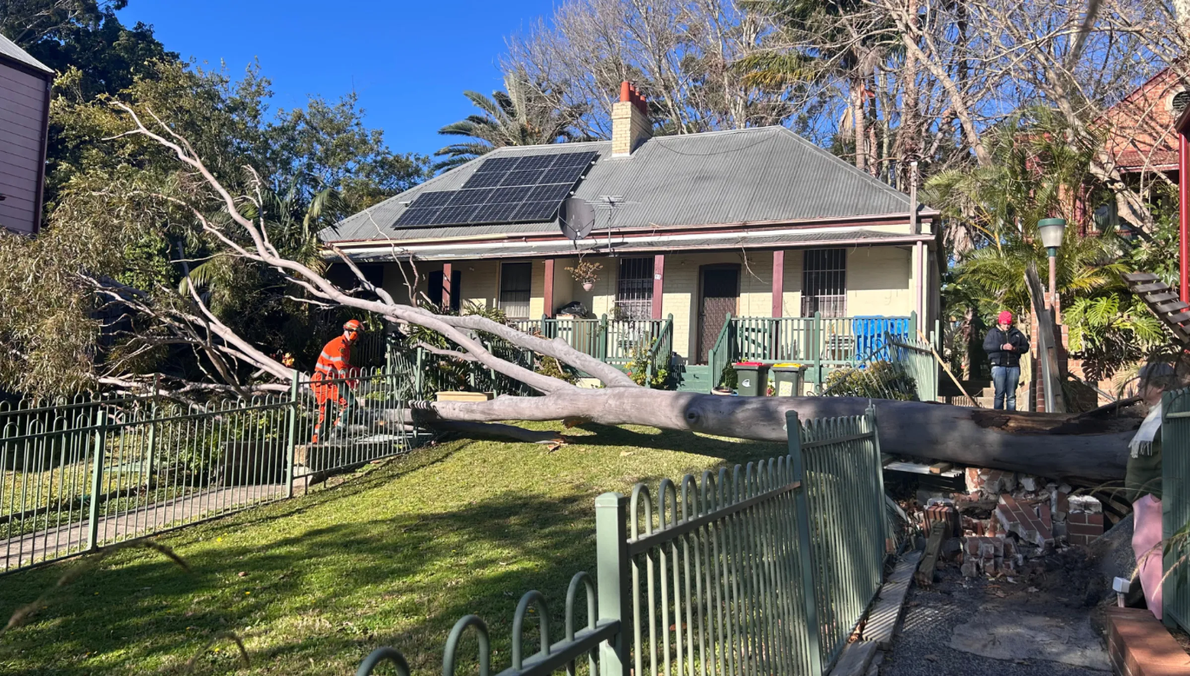 SES crews attending a tree job, with large tree down in the front yard