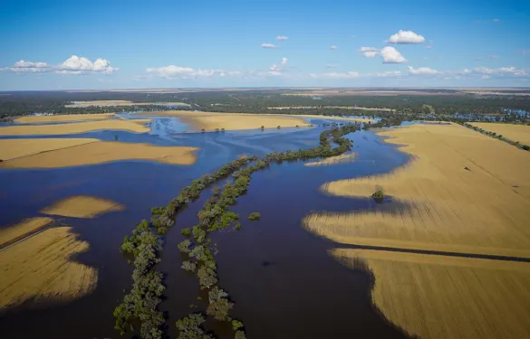 Walgett NSW, impacted by severe flooding.