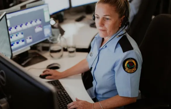 Contact the NSW SES image