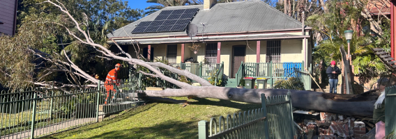 SES crews attending a tree job, with large tree down in the front yard