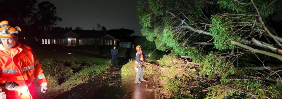 Fairfield Unit attending tree down over night 1 July 2025